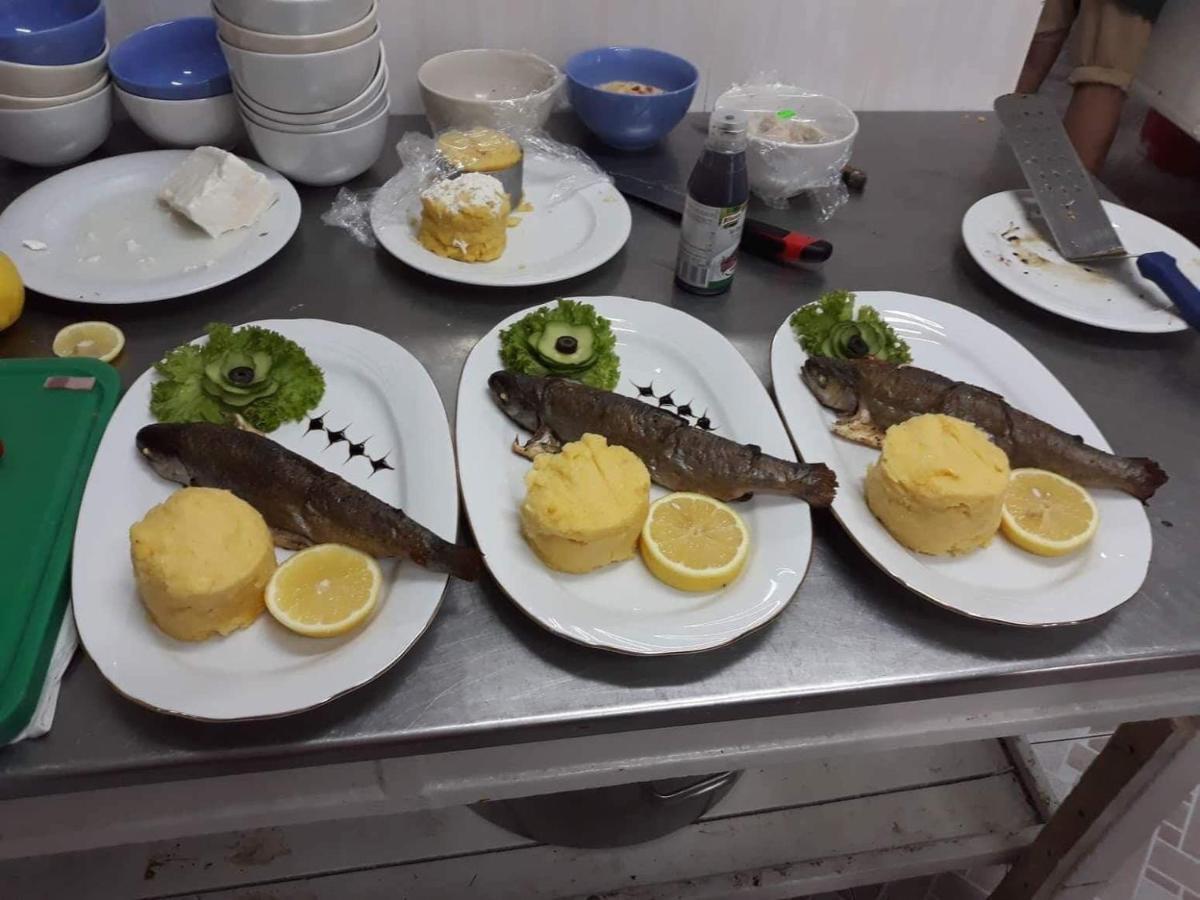 Pensiunea Scoika Steaguri 尼普顿 外观 照片